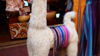 フォークロア雑貨専門店。横浜発祥なのね。