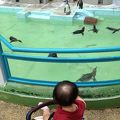 入場無料の動物園♪