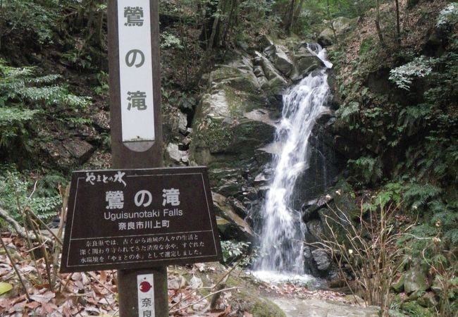 春日原始林の中にある滝