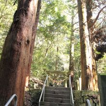 入口付近の階段