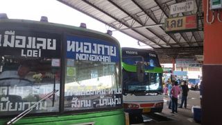 国際バス、ローカルバス