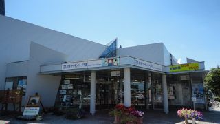 魚と親しもう！