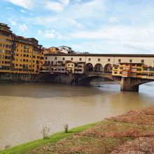 ちょっと川が茶色に濁っています。