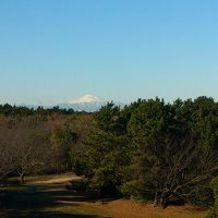 日本人はやはり富士山ですね