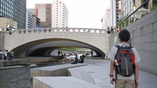 遊歩道がつけられています