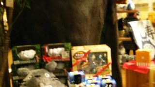 どんぐり共和国