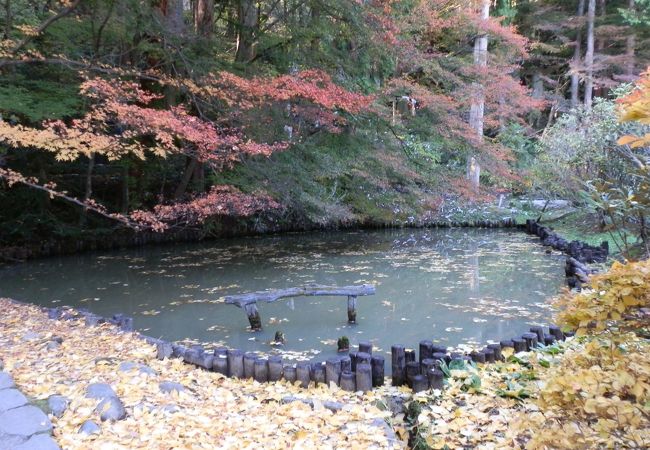 安楽寺(長野県上田市)