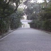 広い敷地内の公園です。