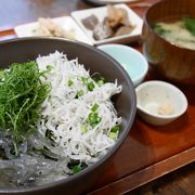 しらす丼@熱海駅前