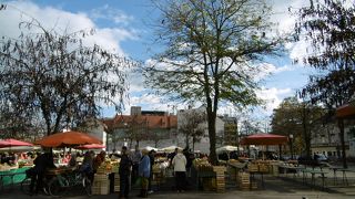 北海道のかぼちゃを発見！