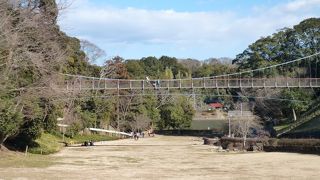 広くて気持ちの良い公園です。