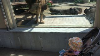 日本で二番目に古い動物園