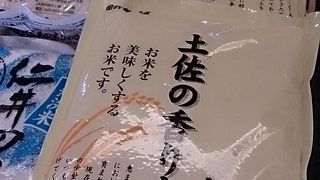 入り口には竜馬が