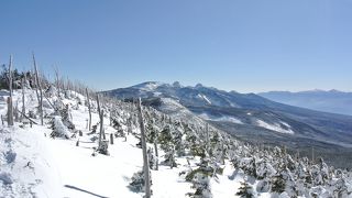 厳冬期の北八ヶ岳は一面、白銀の世界