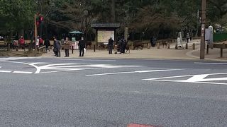 近すぎて中々行くことないですが、、、