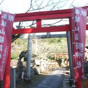 松江城の城山公園にあります