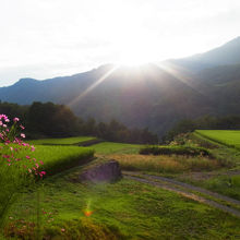 周囲の風景：全国農村景観百選の棚田