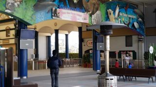 いつ行ってもいい!!!