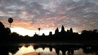 人生一度は見ておきたい