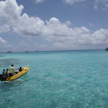 ボートはこんな感じ