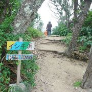 自分の目で見てほしい砂浜。