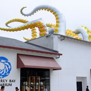 水族館は結構なお値段