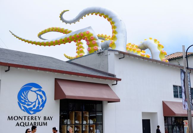 水族館は結構なお値段