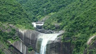 近くで見たい！