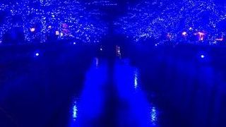 季節ごとの顔が美しい