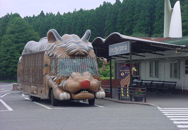 九州自然動物公園 アフリカンサファリ クチコミ・アクセス・営業時間