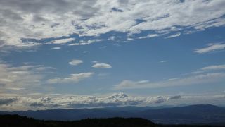 美瑛まで来たら