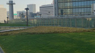 天気が良い日はまったり出来ます。