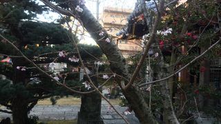 小さいですが趣があります