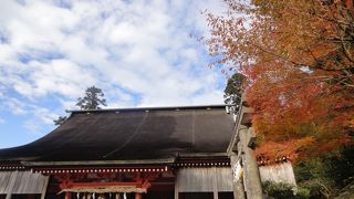 紅葉が綺麗です