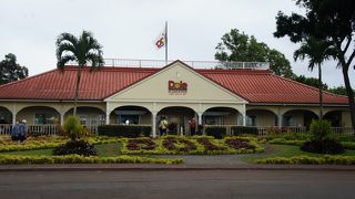 アイスクリームを食べました