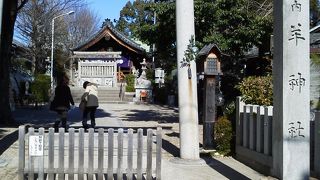 12年に1度の羊詣で？