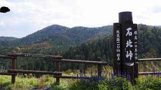 小さな売店もあり休憩に最適