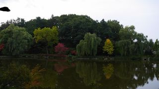 北見市街地にある自然豊かな公園
