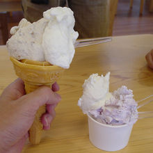 ジェラート美味しかったですよー