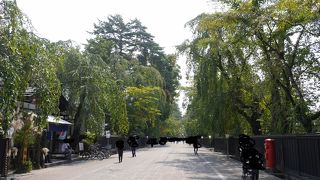 みちのくの小京都・角館の象徴