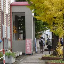 イチョウの黄葉が印象的