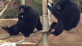 ほのぼのします