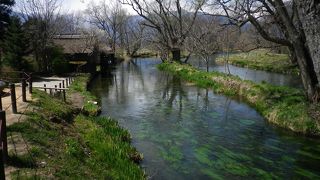 安曇野わさび田湧水群 