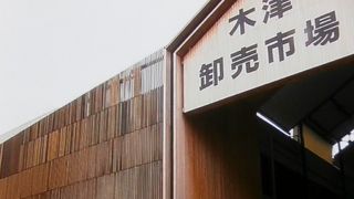 旬の魚が安いです。