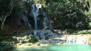 泳ぐには涼し過ぎました