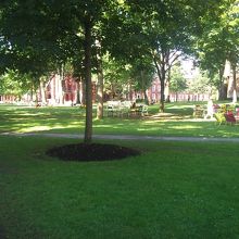 屋外で勉強もしているようです。