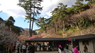 ほんのりと香る梅香に深呼吸しちゃいます。