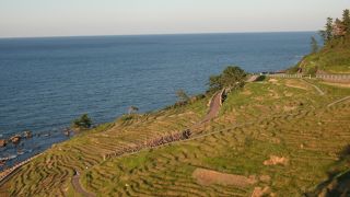 その努力に感心するばかり