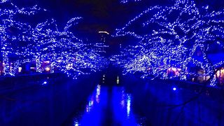 青の洞窟綺麗でした！