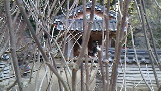 熱海梅園にいったらつきあたりまでいきましょう